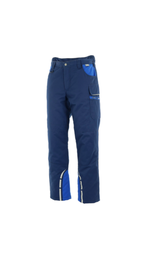 Sara Workwear talve tööpüksid STANDARD WINTER